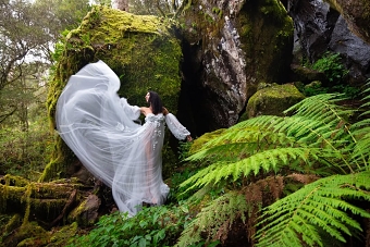 Rainforest Magic