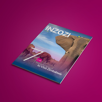 Inzozi | Visiting Zimbabwe