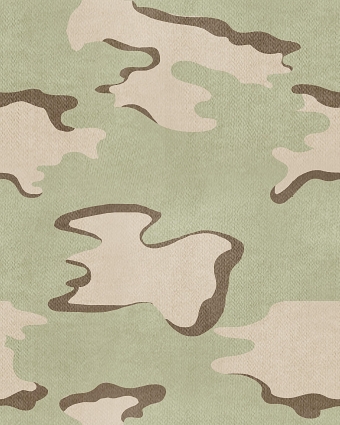 Camo Culture