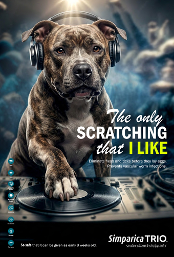 THE ONLY SKRATCH THAT I KNOW