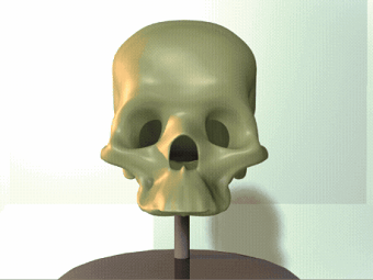 3D human bones 360 Degrees