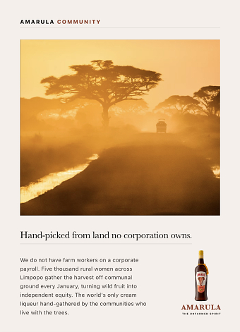 Amarula Cream Liqueur (Heineken Beverages / Distell)