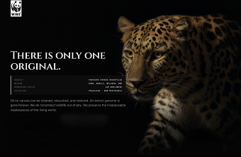 WWF  - The Last Original