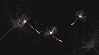 Less color. More impact. Monochrome Rive animation for Hero section.
