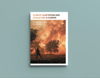 Climate Adaption and Resilience Impact Report
