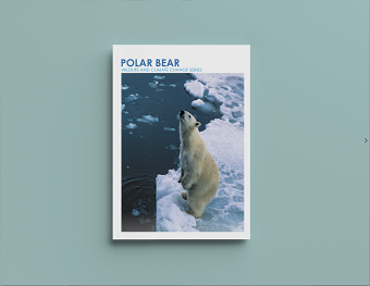 Polar Bear Wildlife and Climate Change Report