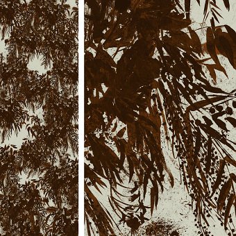 Janet Gourlay Portfolio