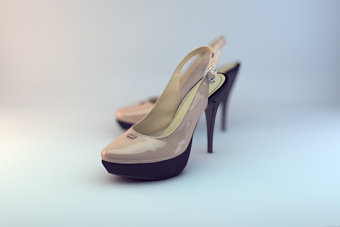 Shoe