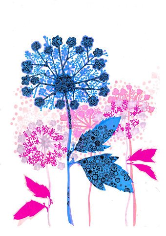 Jess Williams Portfolio
