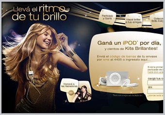 Web Design Work