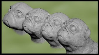 PUG