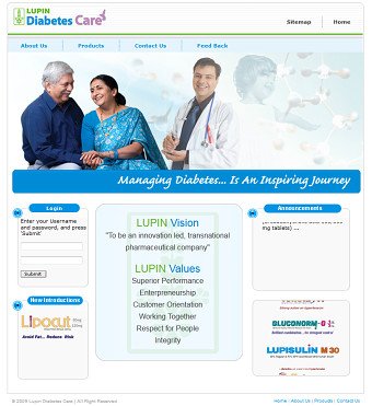 Website Design