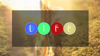 Life Insider Channel