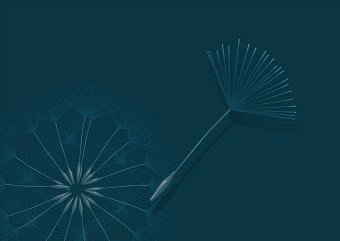 Migration Foundation Branding