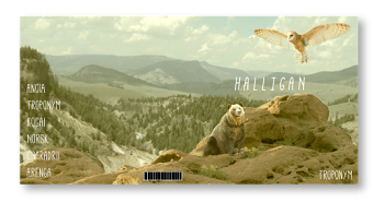 Halligan Album Artwork