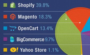 Flippa infographic