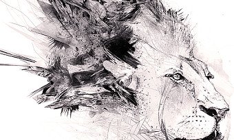 The Nature of the Beast Collaboration