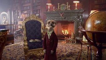 Compare The Meerkat - 'Business'