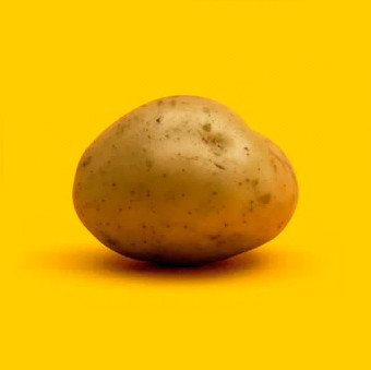 Netto