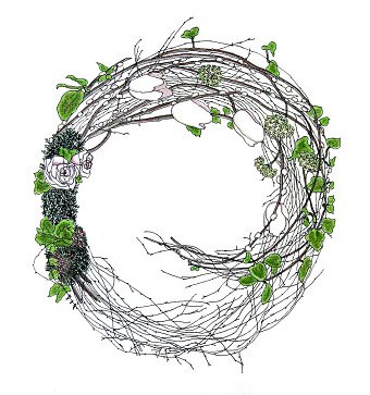 Illustration, flora