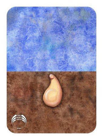 The Body Shop: Growth