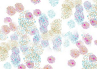 Spots