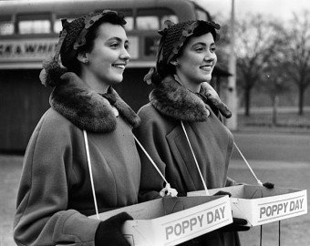 Poppy Appeal