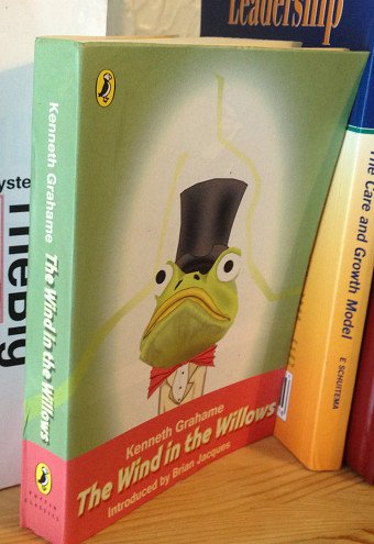The Wind in the Willows book jacket design