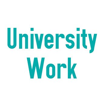 University - Hypothetical Brief
