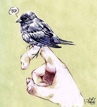 Birdie