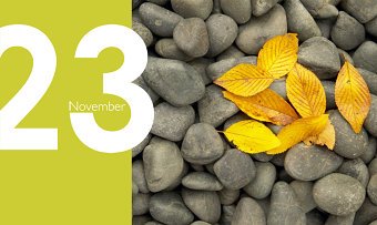 November Twenty Three