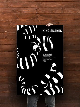 King Snake Posters/Pamphlet
