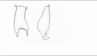 Doing different animation cycles