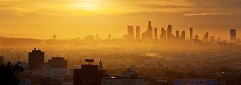 Cultural Weekly Website