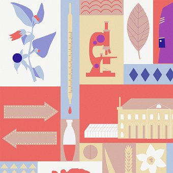 Serco Prize for Illustration