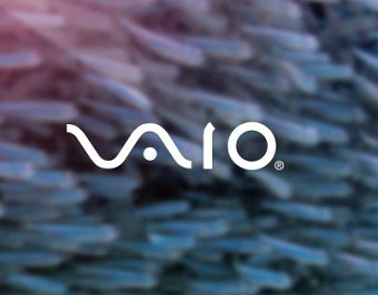 Vaio by you