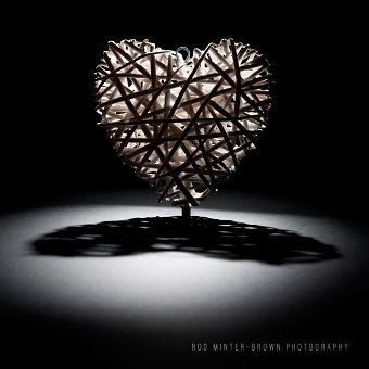 The heart