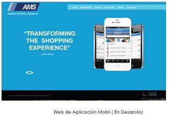 Web Design to AMS