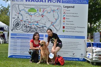 Wagathon Dog Signs and Posters
