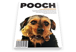Pooch Magazine
