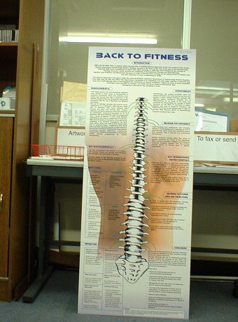 Back To Fitness - Display Board
