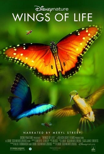 Wings of Life - Film Financing Brochure