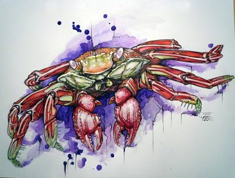 Art & Illustrations