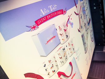 Promo Catalogue
