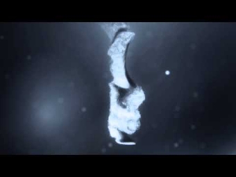 In the dark Promotional Video
