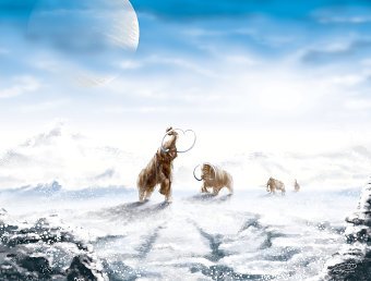 Migration