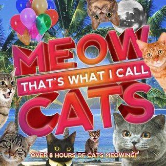 Now that's what I call cats, volume 1