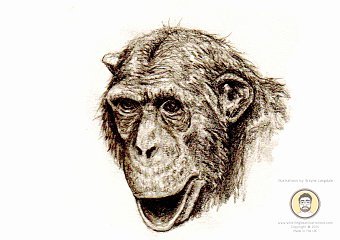 Drawings 2