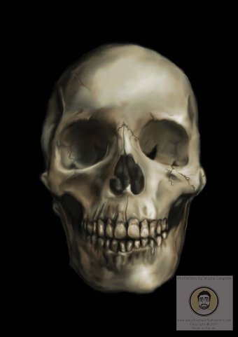 Digital Art