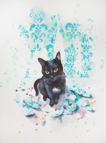 Rebecca's cat